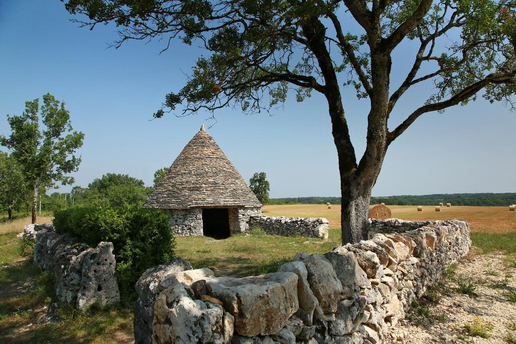 La Vayssade - Maison D'Hotes - Jacuzzi, Piscine & Truffes Lalbenque Екстериор снимка